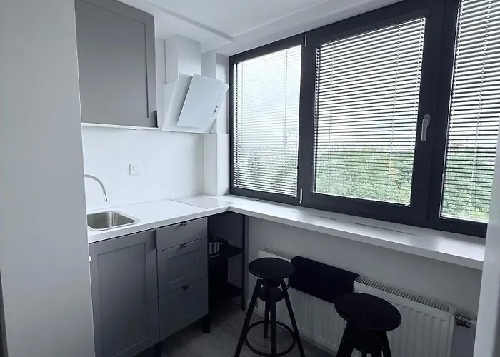 Purvciema Apartment-free Parking *